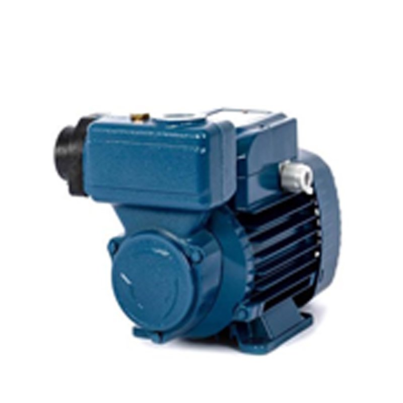 Máy bơm đẩy cao Pedrollo PKSm 80